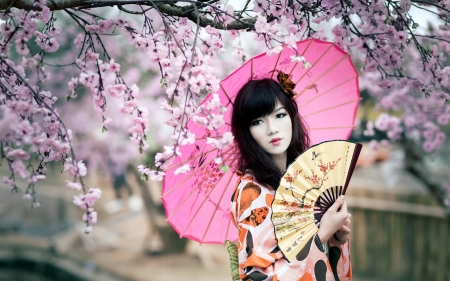 Beauty - woman, parasol, fan, girl, asian, spring, model, hand fan, cherry blossom, sakura, umbrella, pink