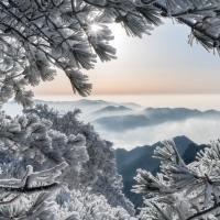 Cloudy Mountainous Landscape of Snowy Trees