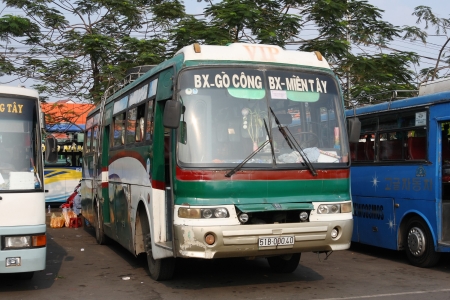 transinco bus - bus, transinco, tree, vietnam