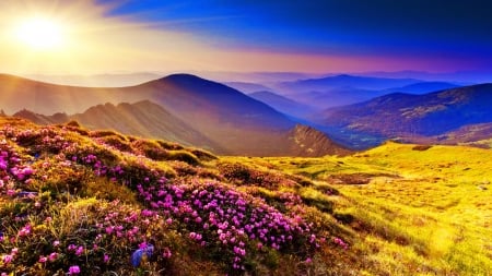 Dream destinations - hill, sunlight, landscape, meadow, summer, field, mountains, shine, nature, wildflowers