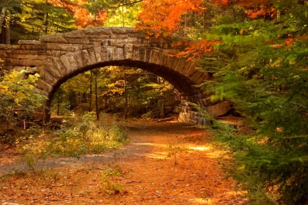 Acadia National Park, Maine - river, colors, trees, bridge