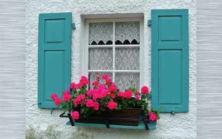 Window with Flowers - flowers, window, house, home