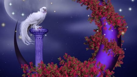 Dove and crescent moon - moon, buchukoy, bird, dove, crescent moon, flower, pink, fantasy, white, purple, red, luminos, sky, luna