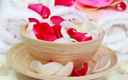 Red -N- White Rose Bowl - petals, bowl, water, spa, rose