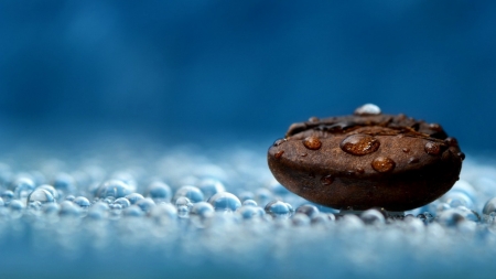 Coffee macro - coffee, abstract, macro, photography, coffee bean, wallpaper, drops