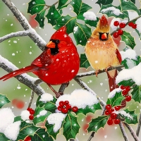 Snowy Perch - Cardinals