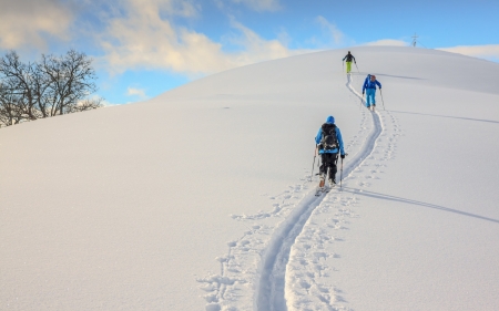 Up the Hill - hill, snow, skiing, winter