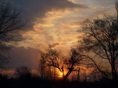 Fiery Sunset - sky, landscape, clouds, trees, sun