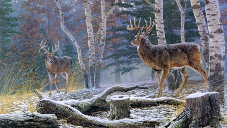 Deers - rosemary millette, winter, horns, painting, art, forest, snow, luminos, deers, animal, pictura, tree