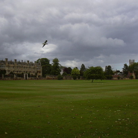 Christ Church College