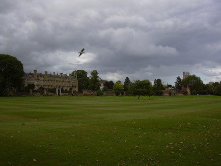 Christ Church College - bird, landscape, school, grass, england, rain, field, sky, storm, clouds, house, college, tress, beauty, tree, nature, cloud, weather, country, building