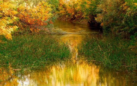 National park - landscape, fields