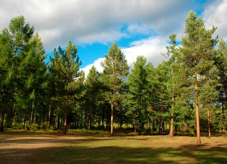 National park - fields, landscape