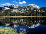 Lake reflections