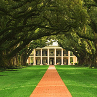 Lined trees along the Garden path