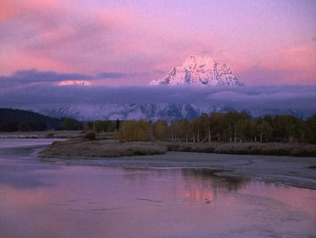 Shades of pink in Wyoming - wyoming, trees, mountains, foggy, mist, national, clouds, lake, grand, mountain, winter, park, nature, purple tones, colours, pink, teton, sunrise, misty