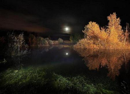 Night - nature, night