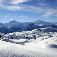 Beautiful Winter Scene  Landscape