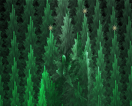 Christmas Trees - green, abstract, photography