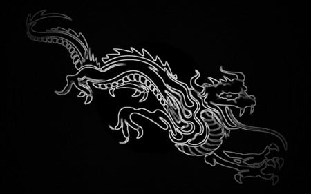 Dragon Black - black and white, graphics, dragons