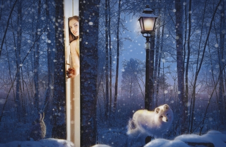 Winter fantasy - rabbit, winter, blue, arctic fox, snow, girl, night, bunny, lantern, door, fantasy, white, animal, iarna