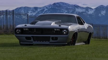 Diesel Cuda - desktop, windows, Diesel Cuda, wallpaper