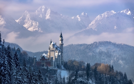 Neuschwanstein Castle - trees, forest, castle, alps, winter, mountains, bavarian, germany