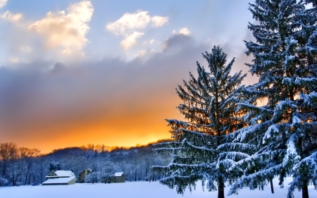 Winter Sunset - clouds, trees, winter, sunset, nature, landscape, snow