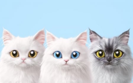 Cats - fantasy, white, animal, pisica, blue, eyes, trio, cat