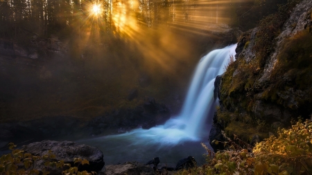 Waterfall in Forest - trees, nature, waterfall, sunbeam, forest