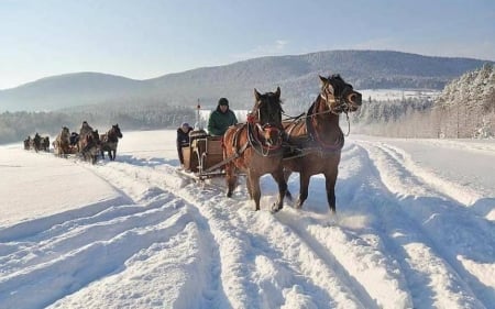 Winter in Poland - horses, snow, winter, mountains, poland