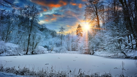 Sunbeams in Winter - sunbeams, nature, landscape, trees, clouds, snow, winter