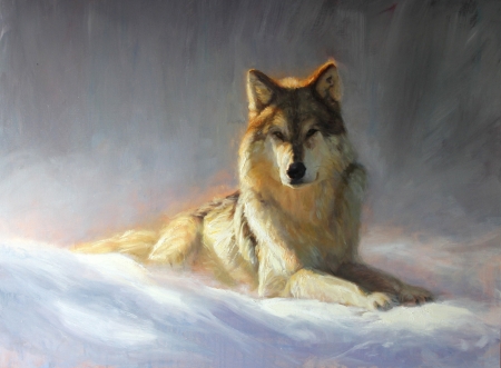 Resting - lup, pictura, animal, winter, wolf, painting, iarna, art