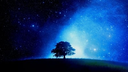 Tree - summer, blue, silhouette, night, stars, tree, fantasy, white, luminos