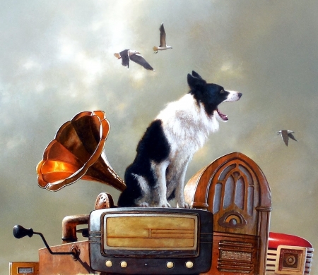 Singing - jimmy lawlor, music, gramofon, border collis, painting, art, dog, singing, pictura