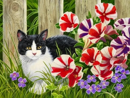 Minnie in the petunias - art, fence, cat, petunias, flowers, garden, spring