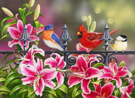 Stargazers - pretty, birds, beautiful, spring, lovely, fence, flower, colorful, art