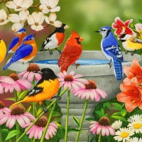 Songbirds birdbath