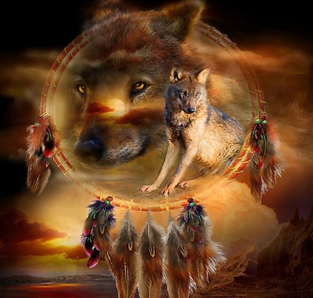 Native Symbols - feathers, art, dreamcatcher, wolves