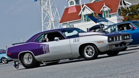 Custom Cuda - Custom Cuda, desktop, windows, wallpaper