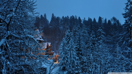 Peles Castle,Romania - nature, trees, forest, snow, castle, winter