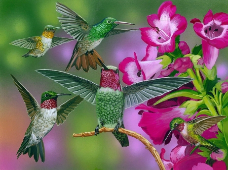 Up and away - art, pretty, beautiful, hummingbirds, flowers, flight, spring