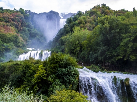 Forest Falls - trees, nature, waterfall, forest, italy