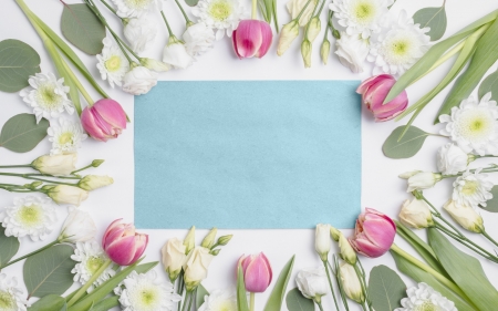 Happy Spring - blue, spring, flower, pink, tulip, white, green, card, texture