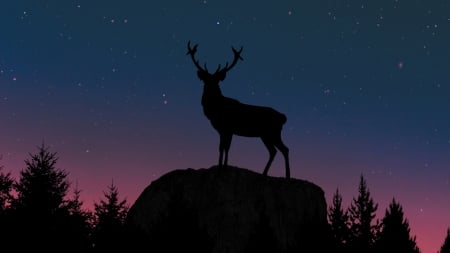 Deer - cerb, silhouette, sky, night, deer, black, horns, blue, pink, animal