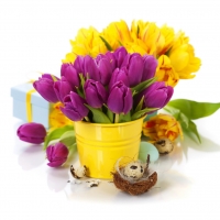 Bouquet of Purple and Yellow Tulips