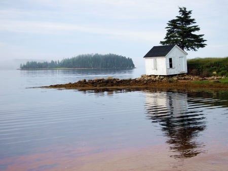 Small White House on Waterfront - house, trees, white, nature, lake, shadow