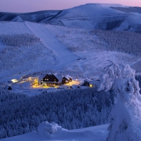 Hotel in the Middle of Forest