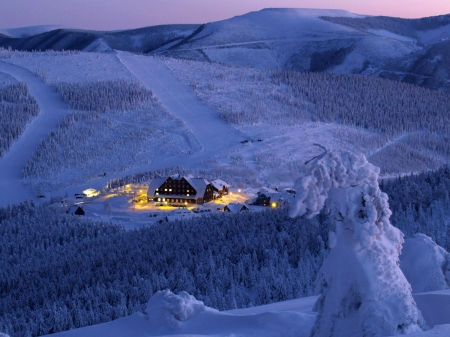 Hotel in the Middle of Forest - nature, sky, cold, forest, snow, winter, hotel