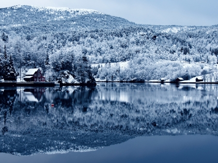 Mirror in the Lake - white, nature, lake, houses, cold, trees, forest, winter